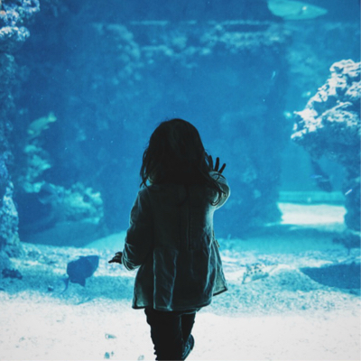 Silhouette of a person looking at aquarium